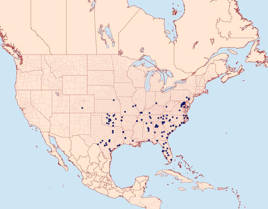 Distribution Data for Lacinipolia laudabilis