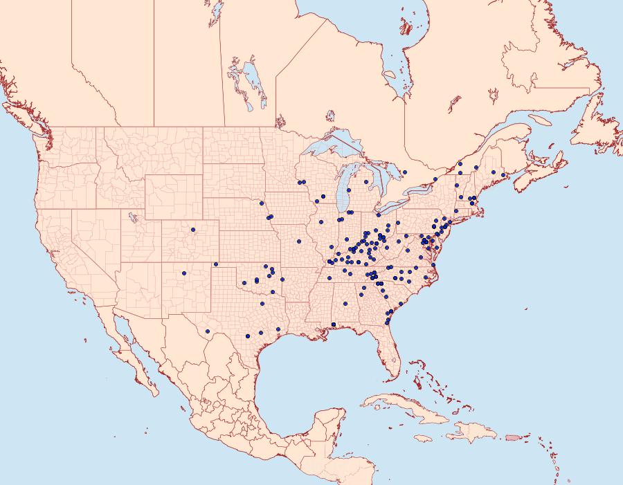 Distribution Data for Lacinipolia implicata