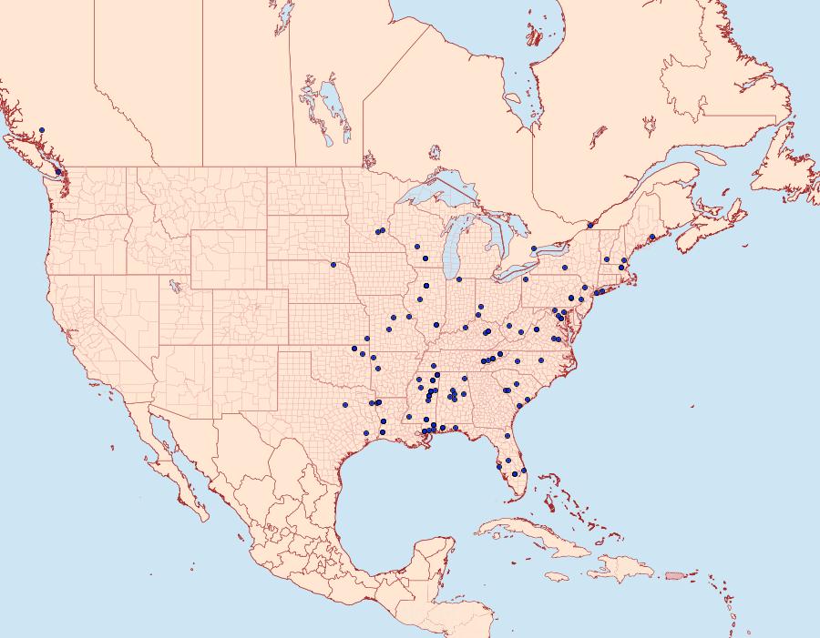 Distribution Data for Decantha boreasella