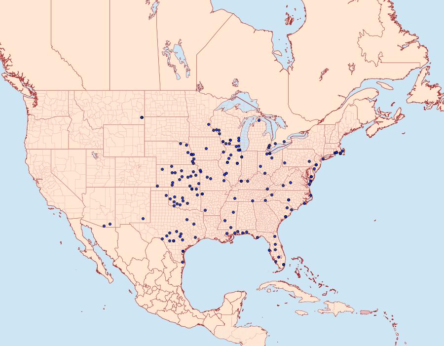 Distribution Data for Dargida rubripennis