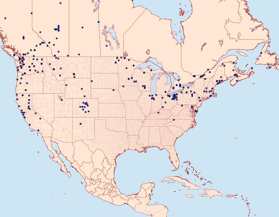 Distribution Data for Mythimna oxygala