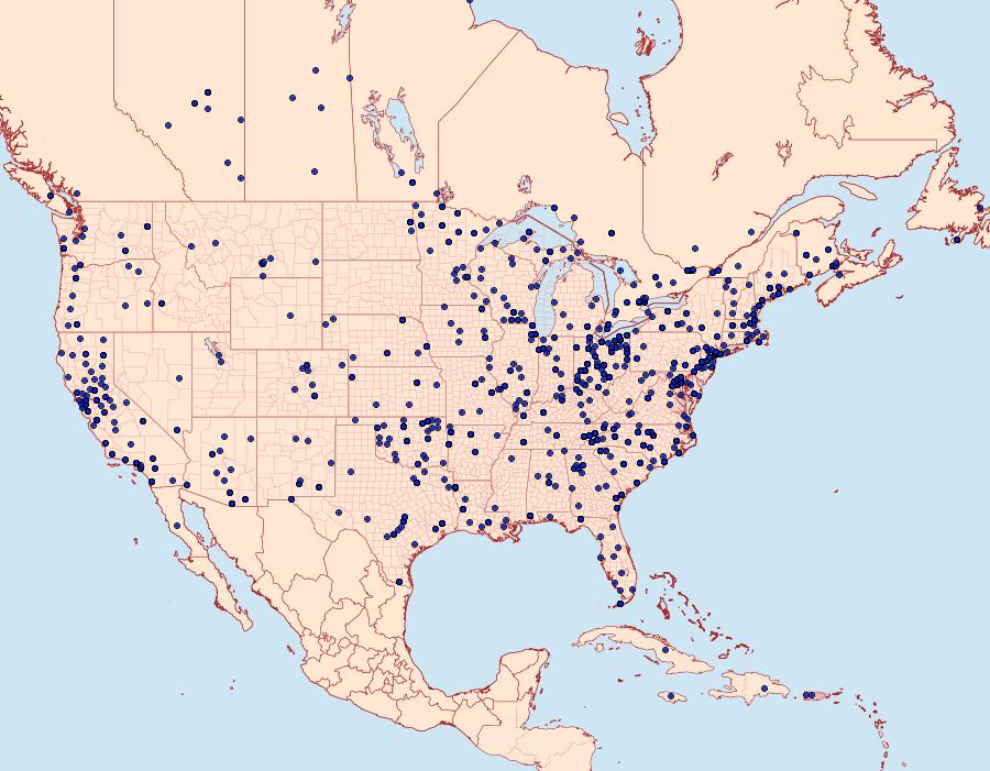 Distribution Data for Mythimna unipuncta