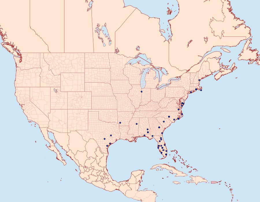 Distribution Data for Leucania extincta