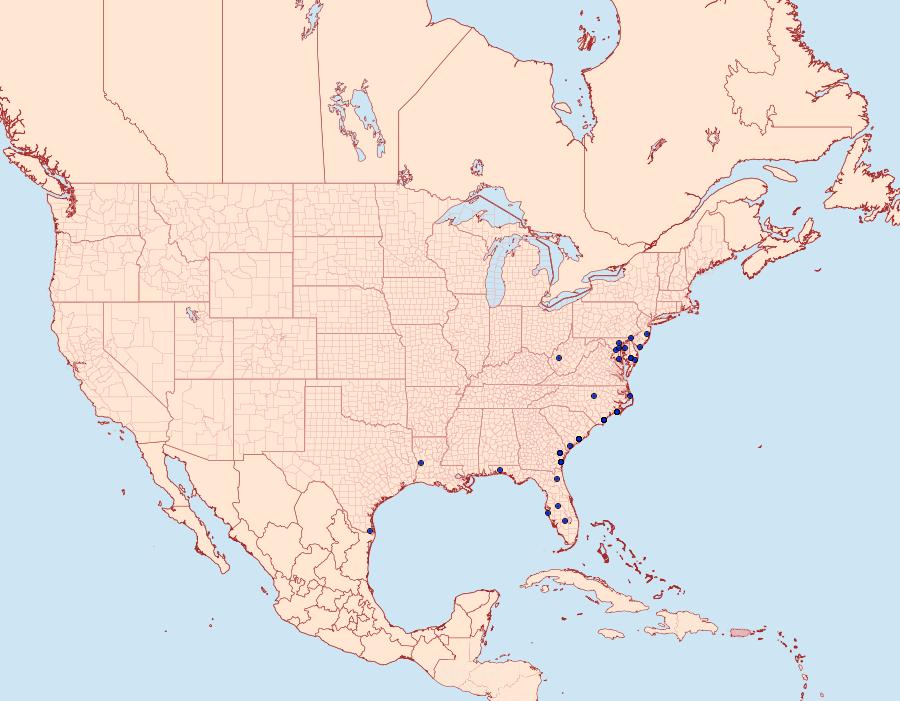 Distribution Data for Leucania linita