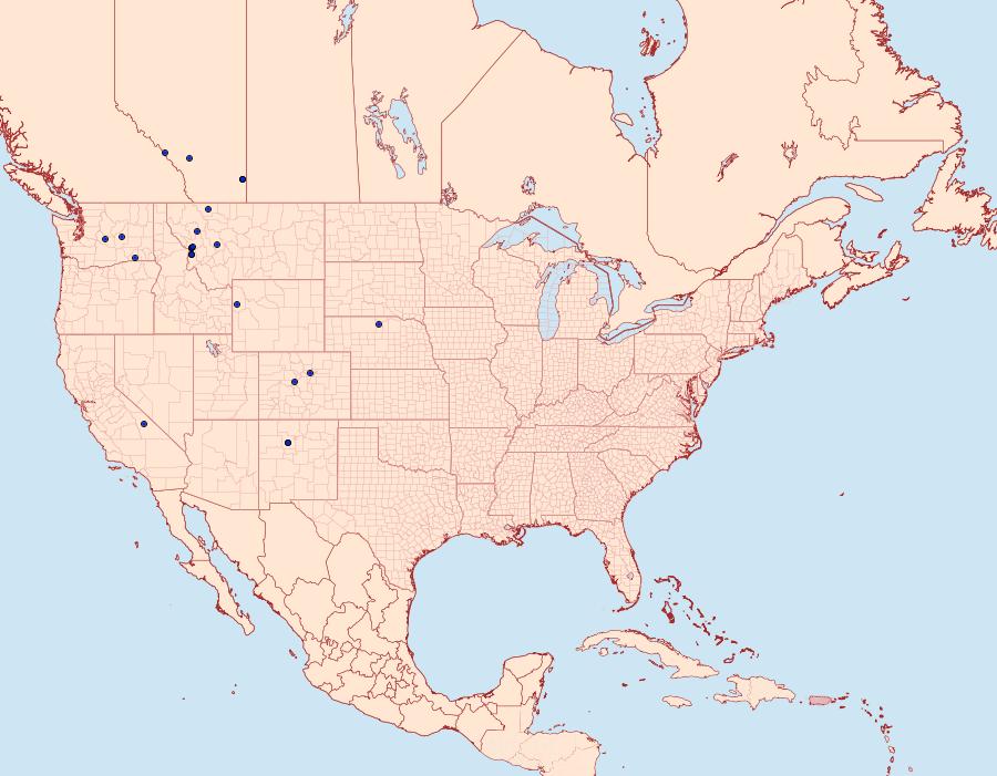 Distribution Data for Leucania anteroclara