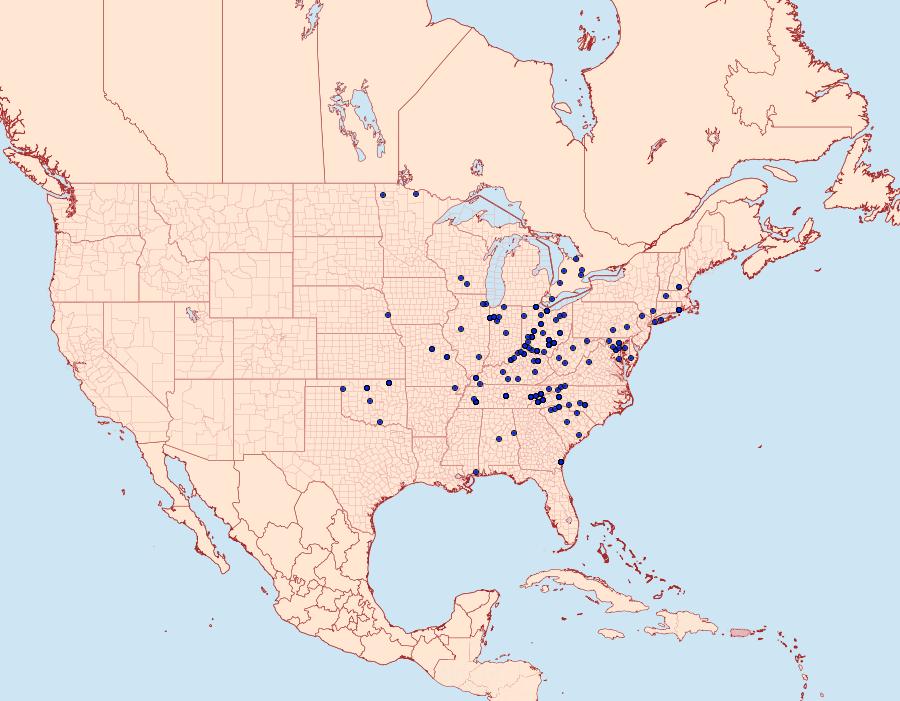 Distribution Data for Leucania linda