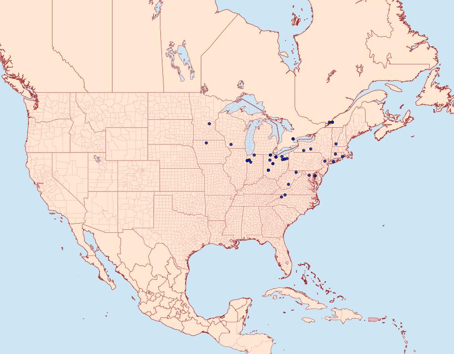 Distribution Data for Leucania lapidaria