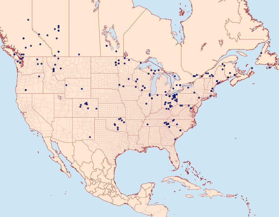 Distribution Data for Leucania multilinea