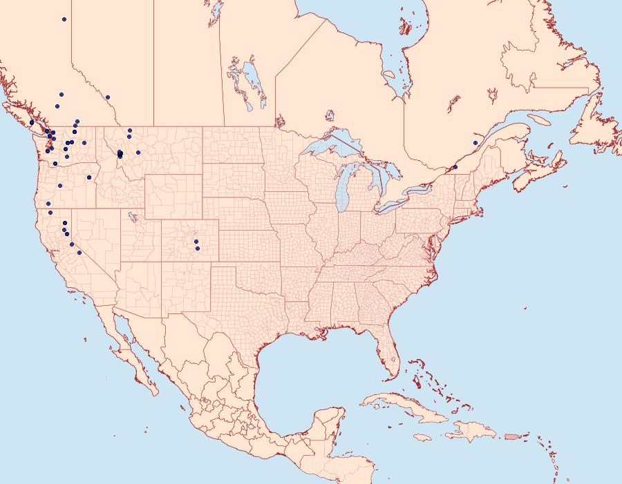 Distribution Data for Leucania dia