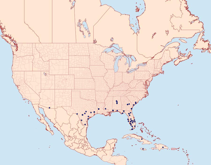 Distribution Data for Leucania incognita