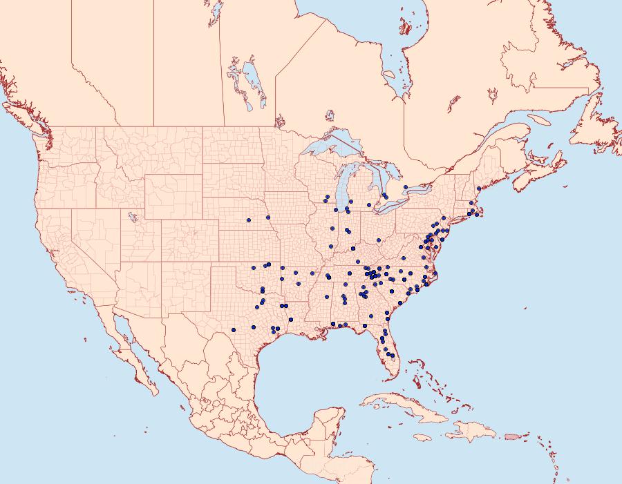 Distribution Data for Leucania adjuta