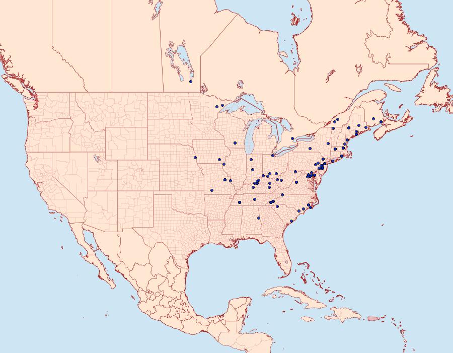 Distribution Data for Leucania inermis