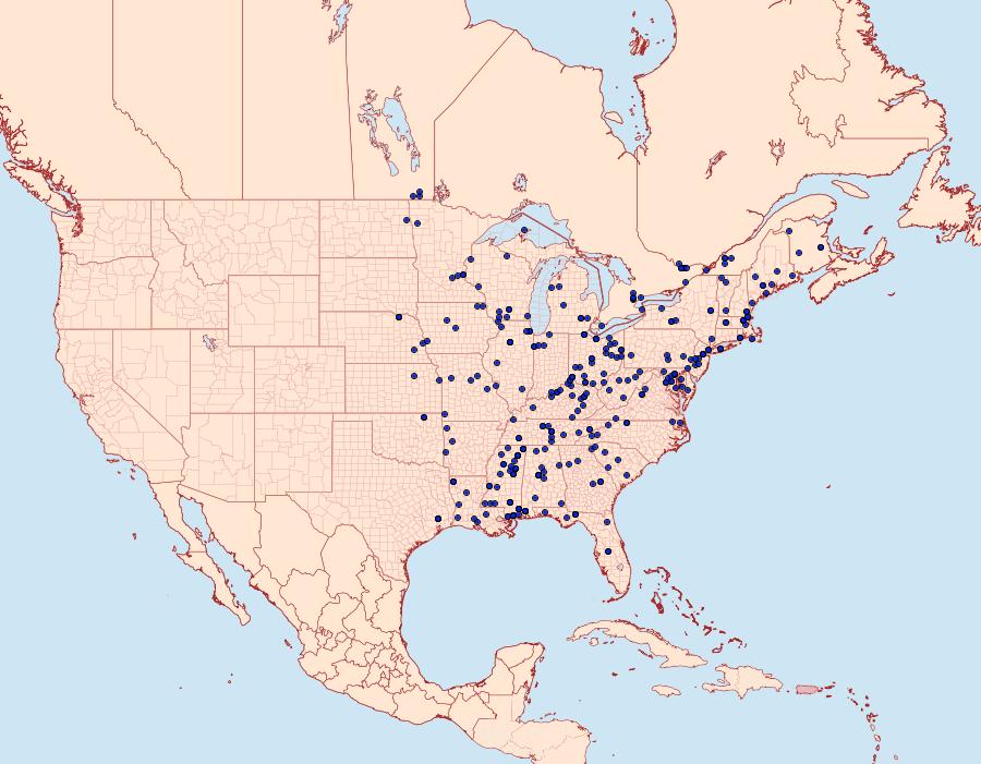 Distribution Data for Callima argenticinctella