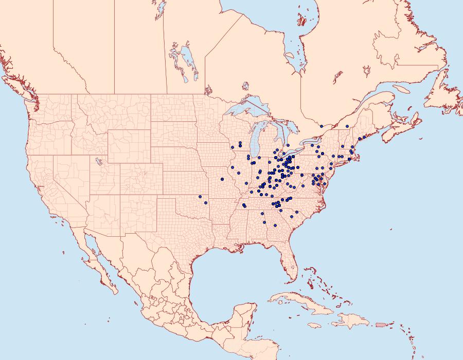 Distribution Data for Leucania ursula