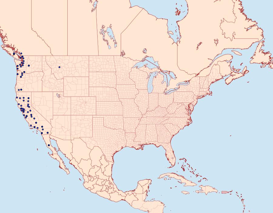 Distribution Data for Orthosia transparens