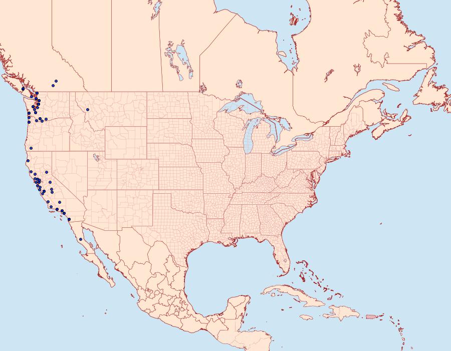 Distribution Data for Orthosia praeses