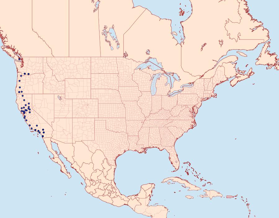 Distribution Data for Orthosia ferrigera