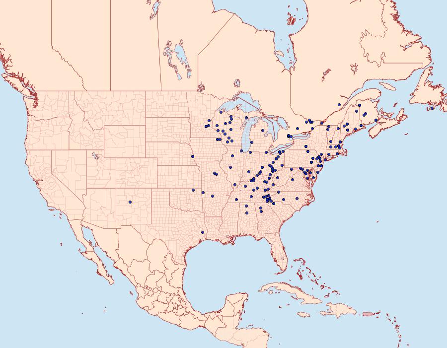 Distribution Data for Orthosia rubescens