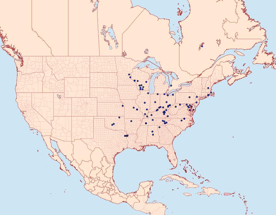 Distribution Data for Orthosia garmani