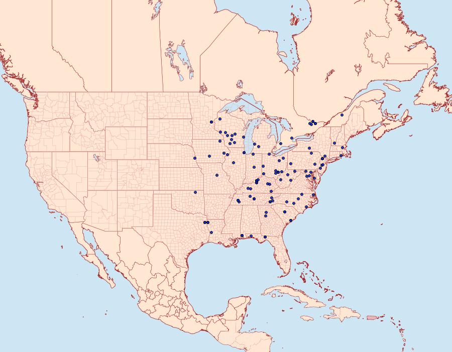 Distribution Data for Orthosia alurina