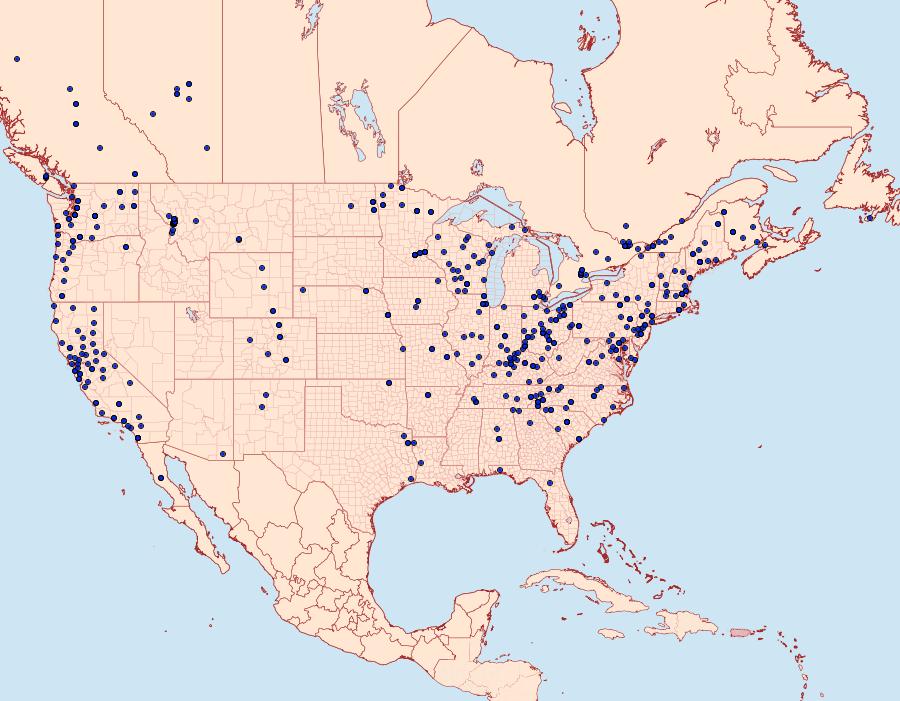 Distribution Data for Orthosia hibisci