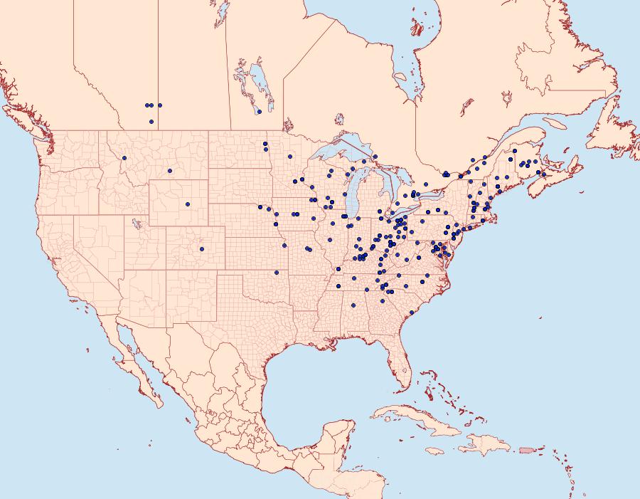 Distribution Data for Crocigrapha normani