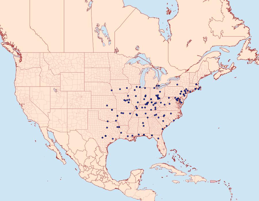 Distribution Data for Kocakina fidelis