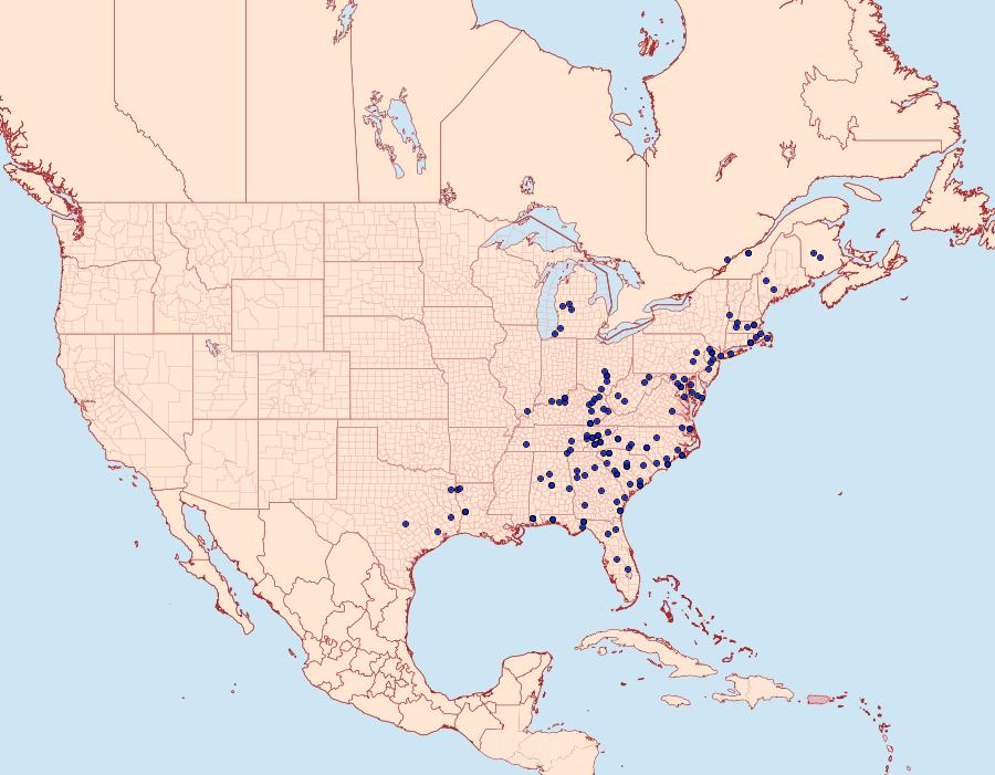 Distribution Data for Egira alternans