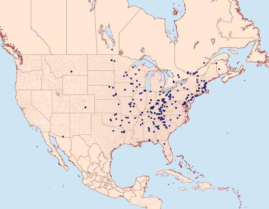 Distribution Data for Achatia distincta