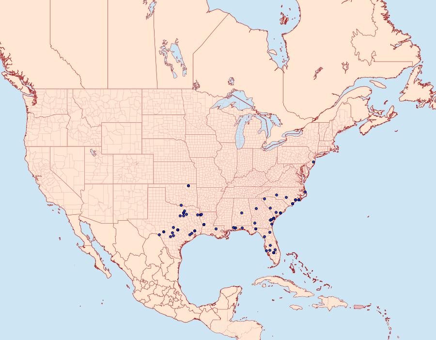 Distribution Data for Morrisonia mucens