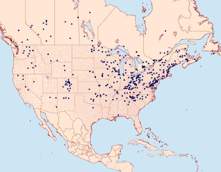 Distribution Data for Nephelodes minians