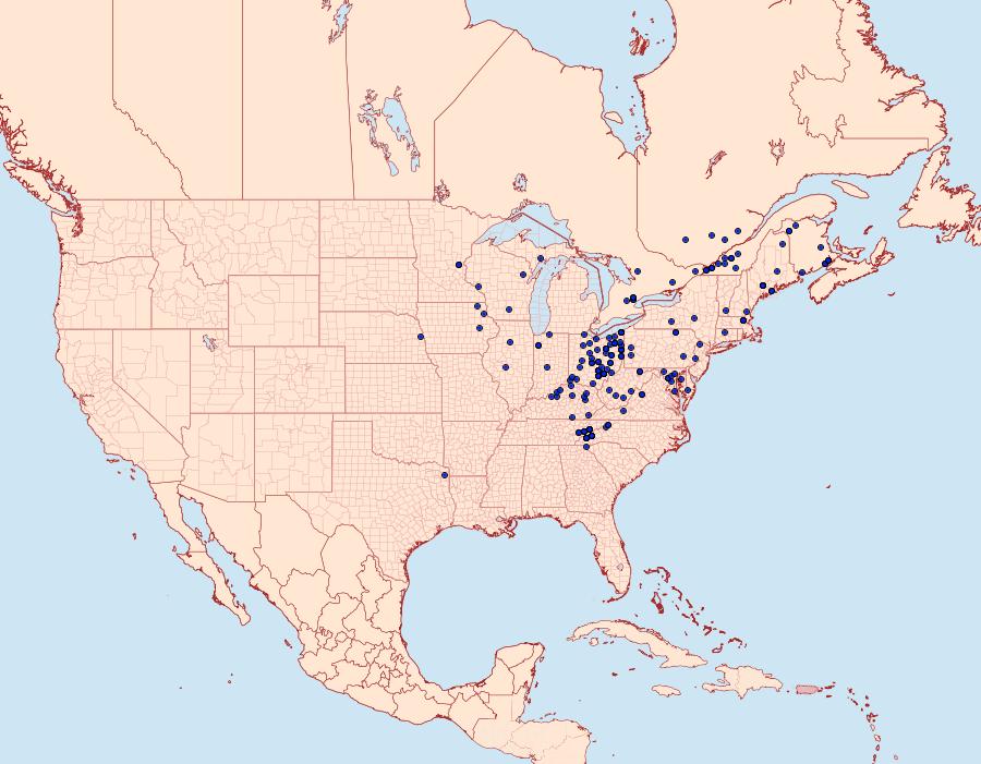 Distribution Data for Pseudorthodes vecors