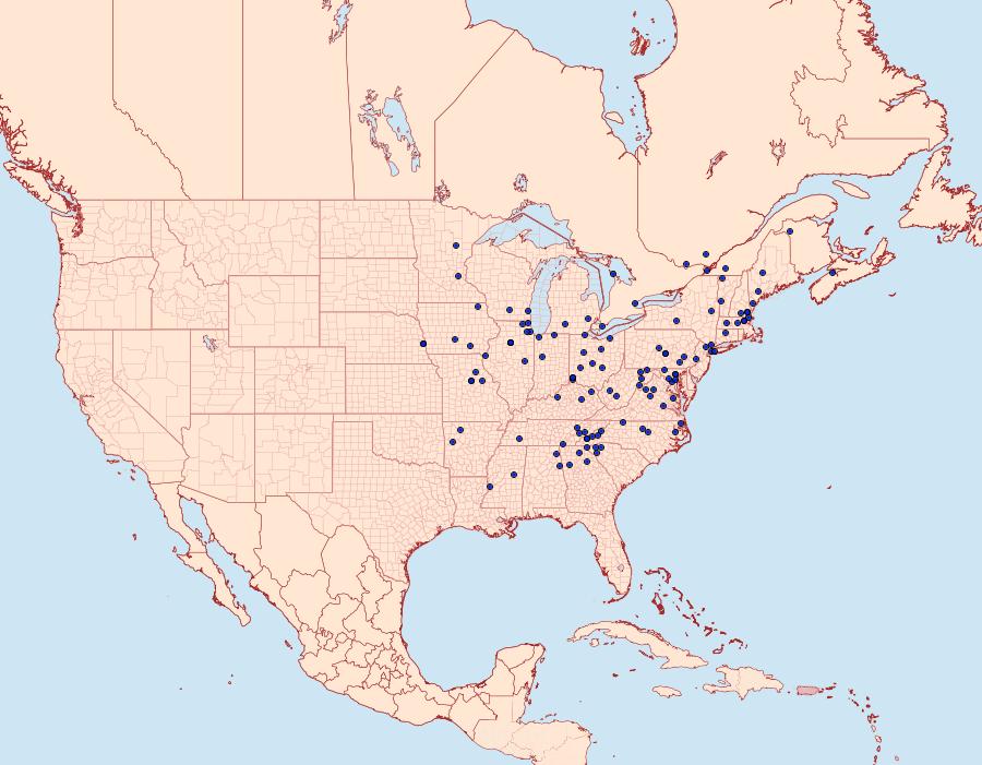 Distribution Data for Mathildana newmanella