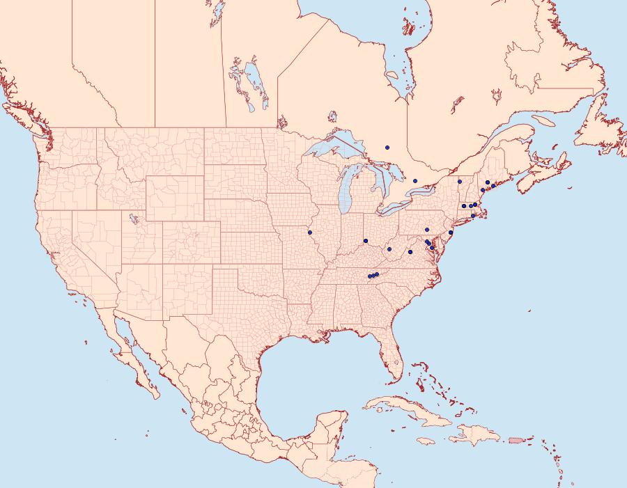 Distribution Data for Carolana ascriptella