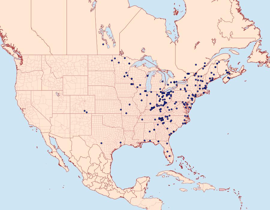 Distribution Data for Tricholita signata