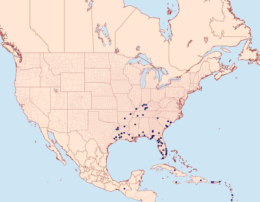 Distribution Data for Xanthopastis regnatrix