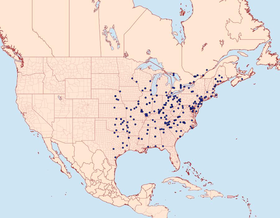 Distribution Data for Agrotis gladiaria