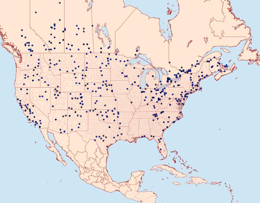 Distribution Data for Agrotis venerabilis