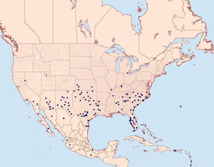 Distribution Data for Agrotis malefida