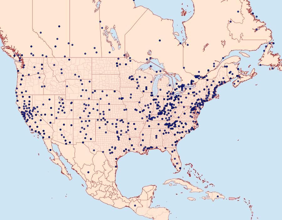 Distribution Data for Agrotis ipsilon