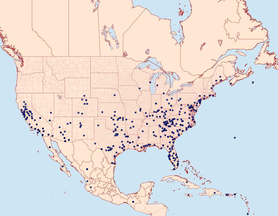 Distribution Data for Feltia subterranea