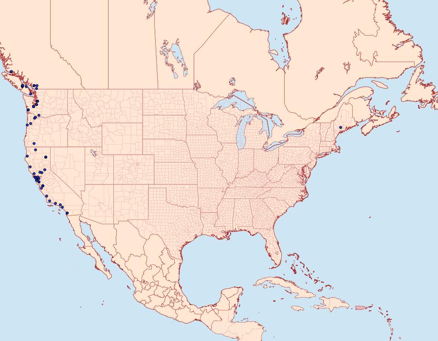 Distribution Data for Endrosis sarcitrella