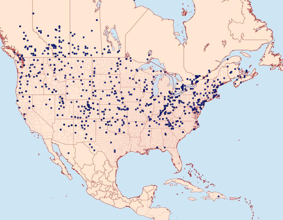 Distribution Data for Feltia jaculifera