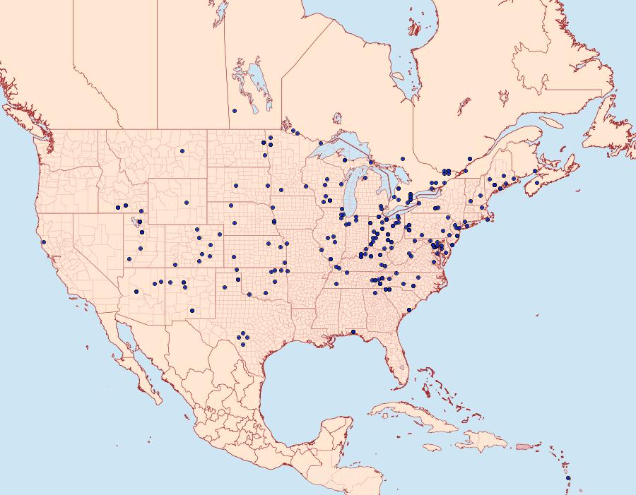 Distribution Data for Feltia subgothica