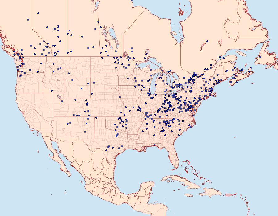 Distribution Data for Feltia herilis