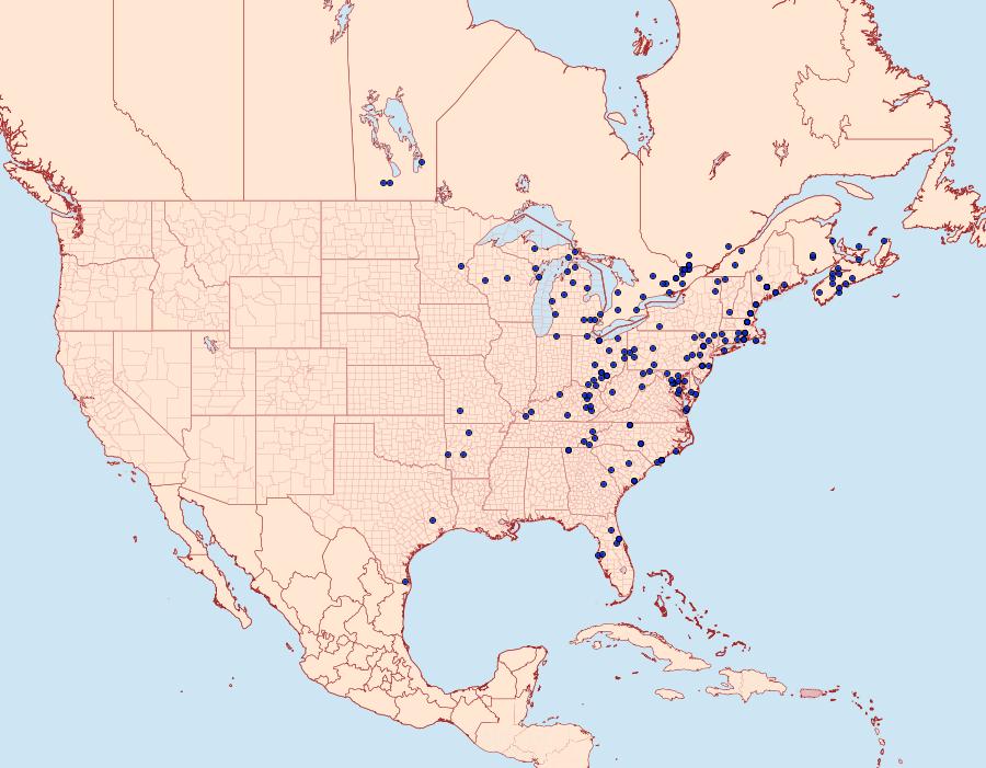 Distribution Data for Feltia geniculata