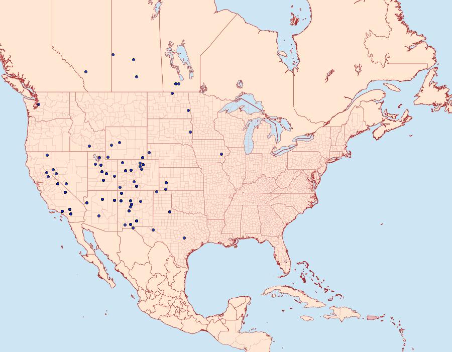 Distribution Data for Copablepharon grandis