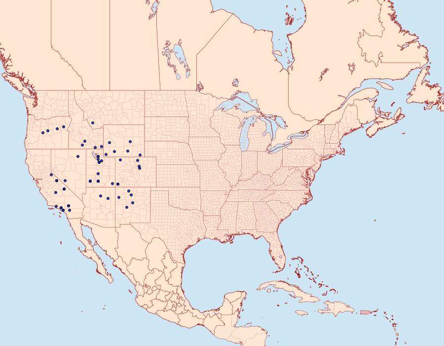 Distribution Data for Copablepharon canariana