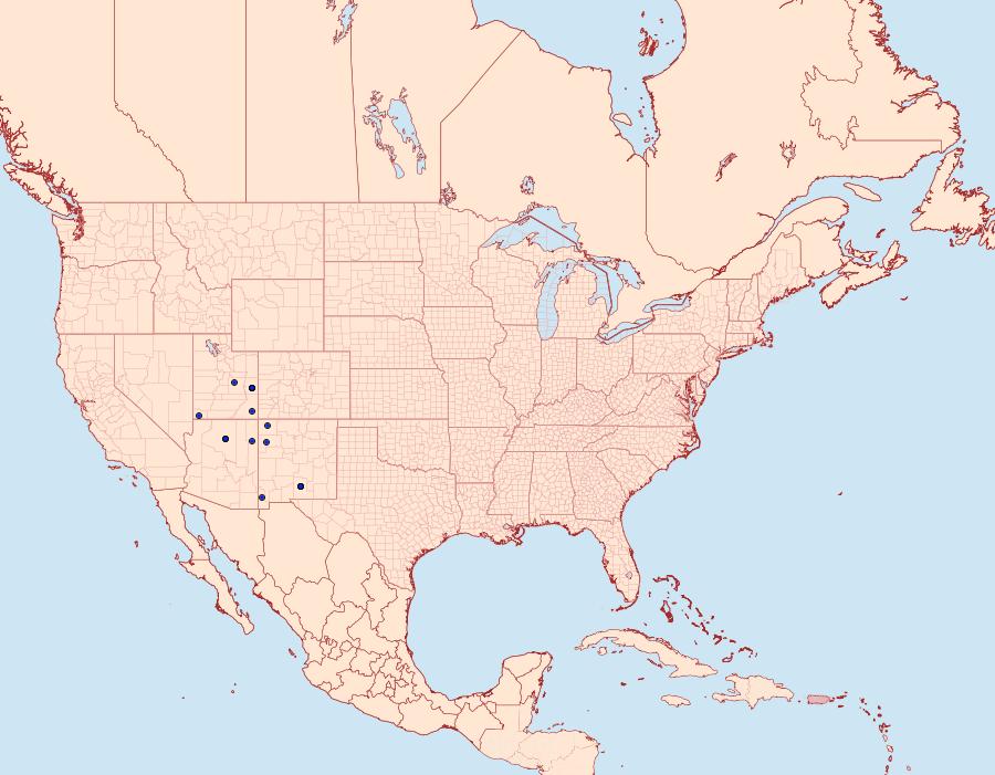 Distribution Data for Copablepharon serratigrande