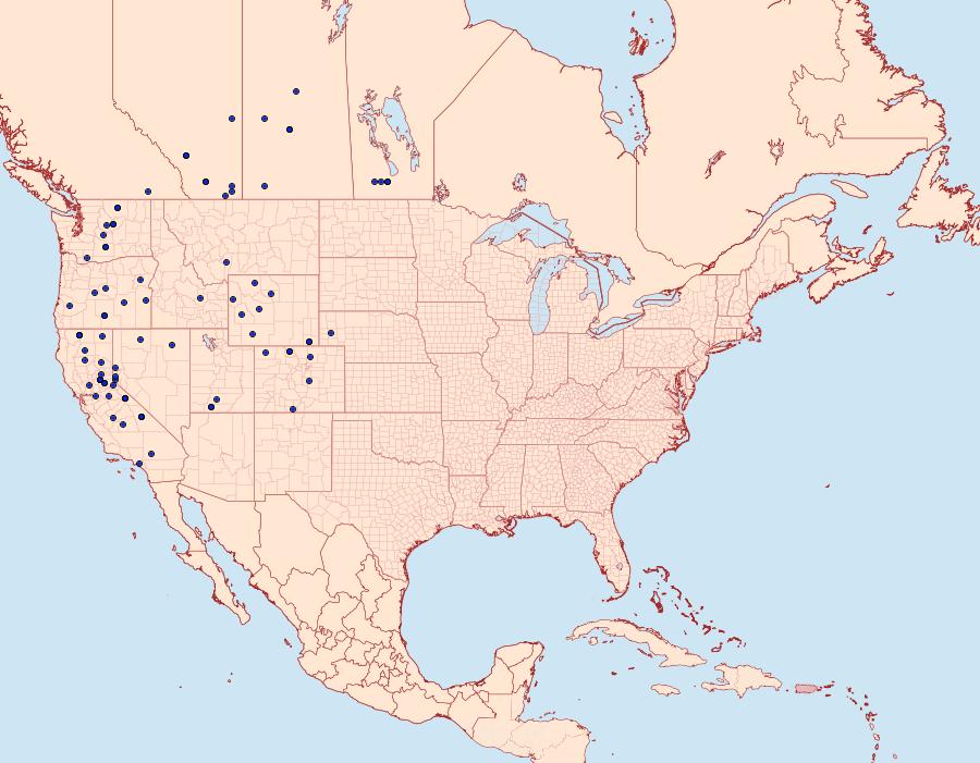 Distribution Data for Copablepharon viridisparsa